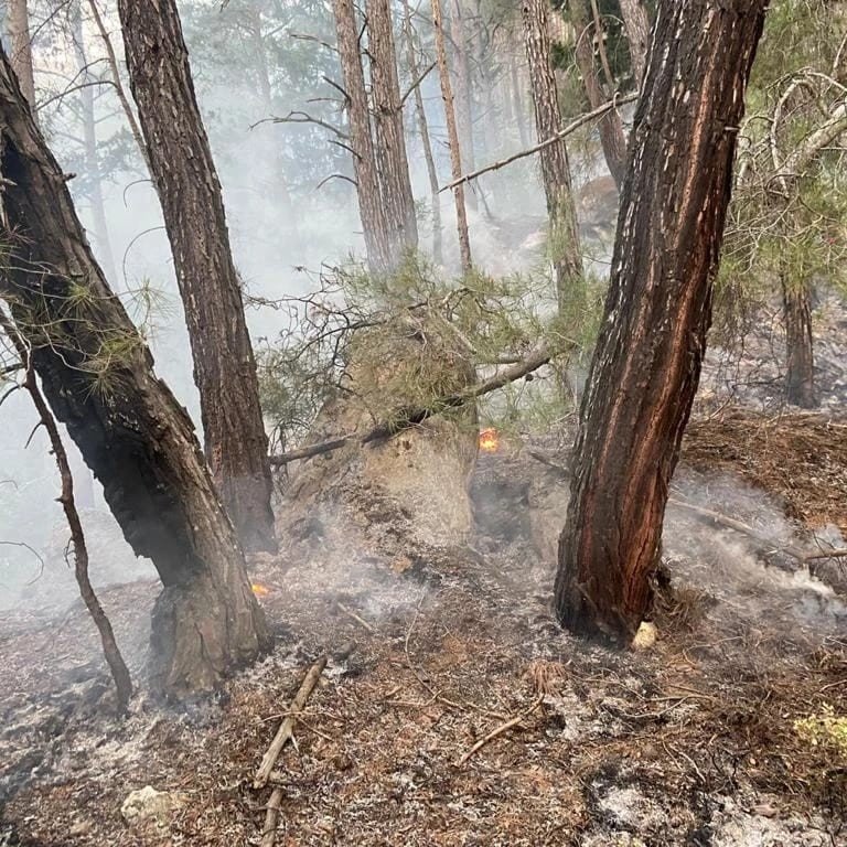 Antalya’da Orman Yangını